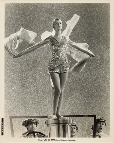 Twiggy the boyfriend - twiggy,