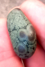 superb Variolite 29mm Natural Raw Volcanic Rock Minerals Fine Stone