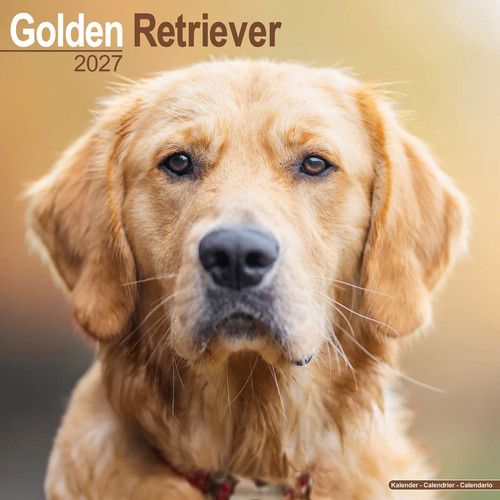 Calendrier 2027 golden - -,