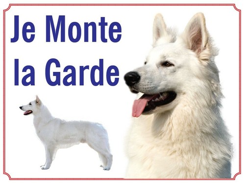 Attention chien je - au, monte