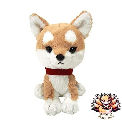 Nouveaux chiots sun lemon - lemon,