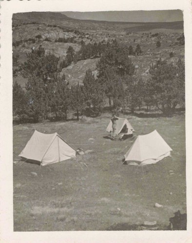 Ancienne photographie camping - ancienne,