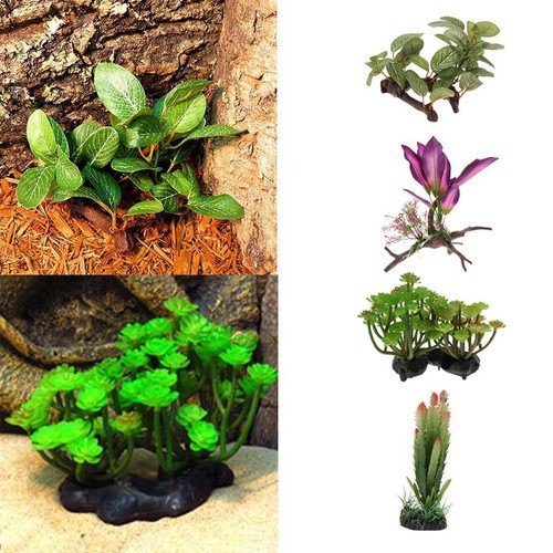Aquarium reptile tortue gecko - ,