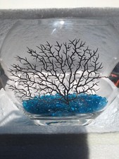  Fish Tank Table Top  By Hygger