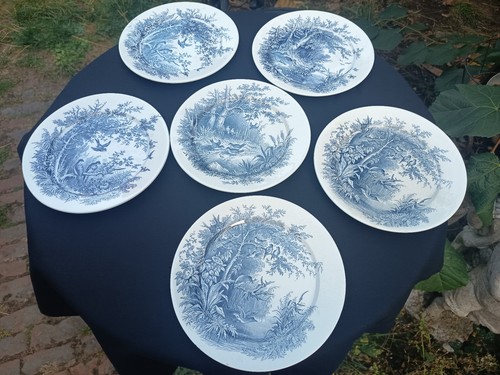 Assiettes dessert - 6,
