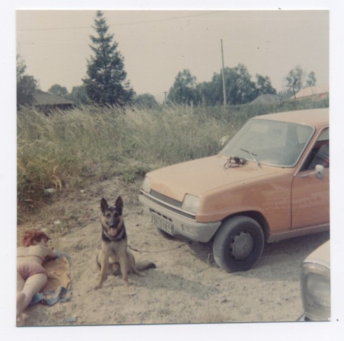 Snapshot photographie vintage - snapshot,
