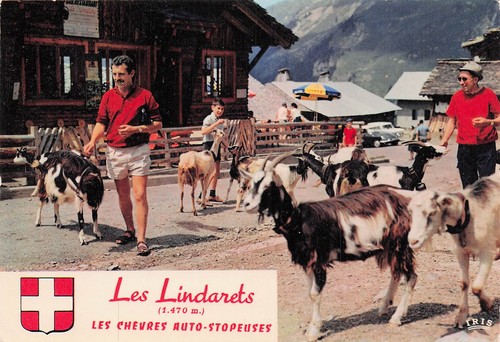 Les lindarets chevres - les,