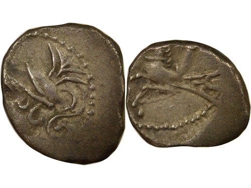 Gaule denier - gaule, (allobroges)