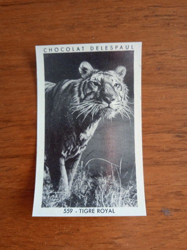 Chocolat delespaul vignette - chocolat,