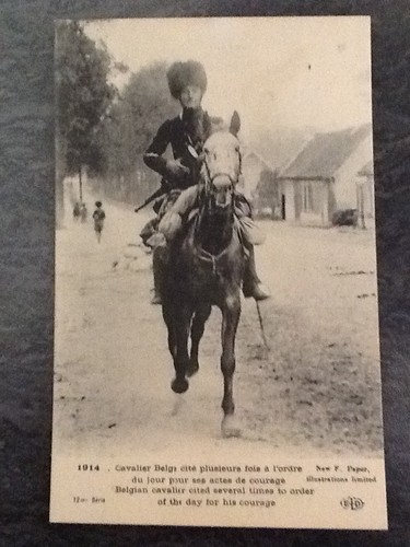 1914 cavalier belge cite - belge,