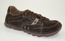 Chat Caterpillar Stat Oxford