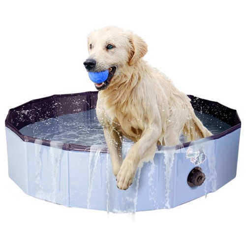 Coolpets piscine pour - coolpets,
