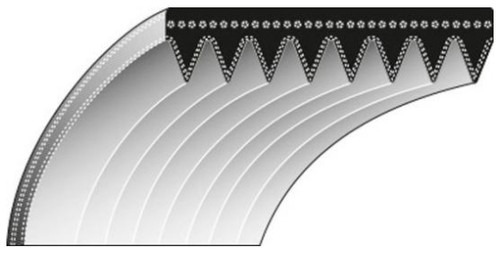 Courroie lame denture interne - denture,