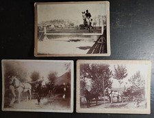 3 photos cabinet early 20th century horse on an obstacle and hitch
