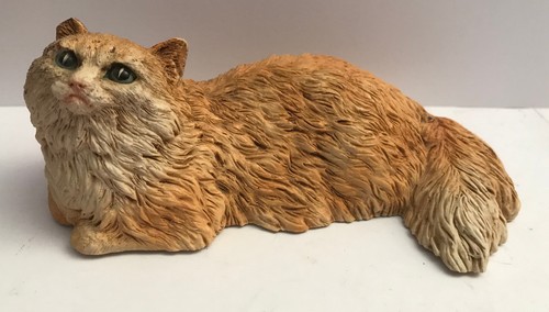 Chat persan couché - , castagna