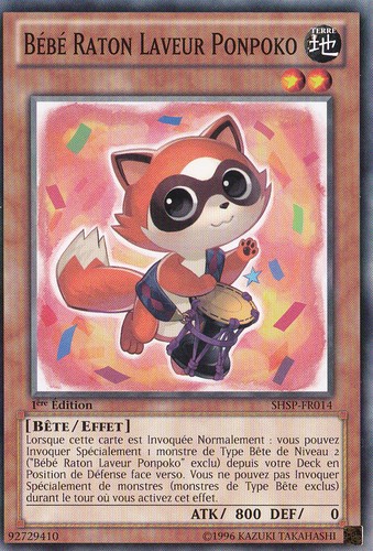 Bébé raton laveur ponpoko - bébé,