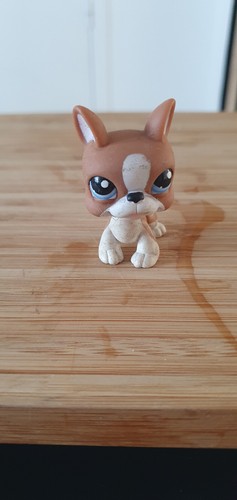 Little petshop lps dog chien - little,