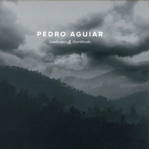 Pedro aguiar landscapes - pedro,