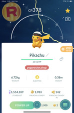Shiny Pikachu Brendan Hat