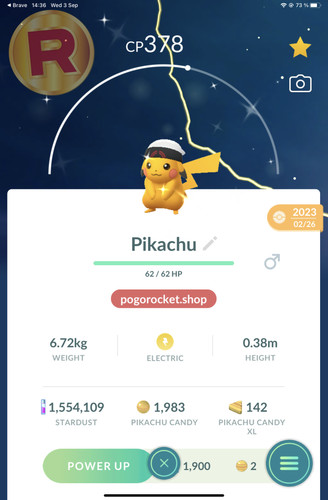 Shiny pikachu brendan hat - shiny,