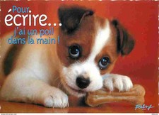 Animals - Dogs - Jack Russell Terrier - Puppies - CPM - See Duplex Scans