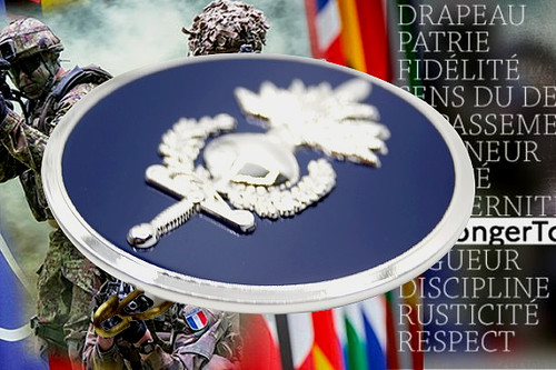 Eurogendfor fge insigne de - eurogendfor,