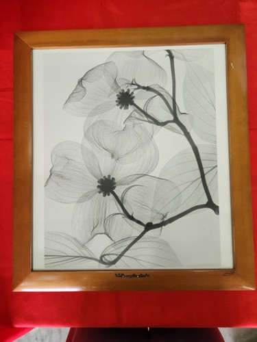 Wharfedale ppx photo frame - ppx-1,