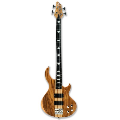 Fretless string electric - string,