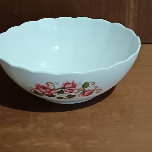 Grand saladier arcopal modèle - grand,
