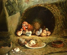 Antique chicken chicks Oil