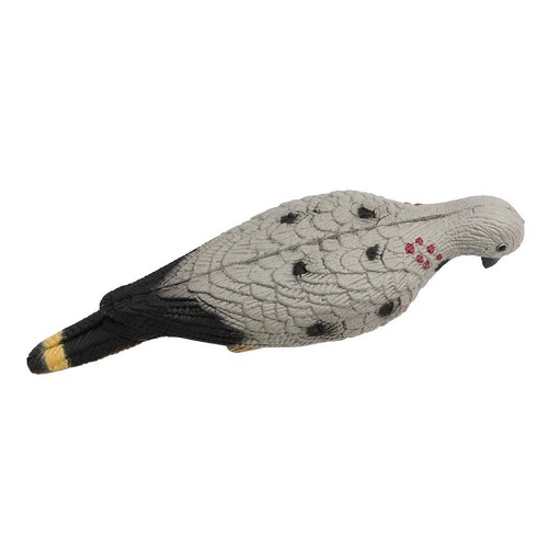 Tir arc pigeon - tir, leurre