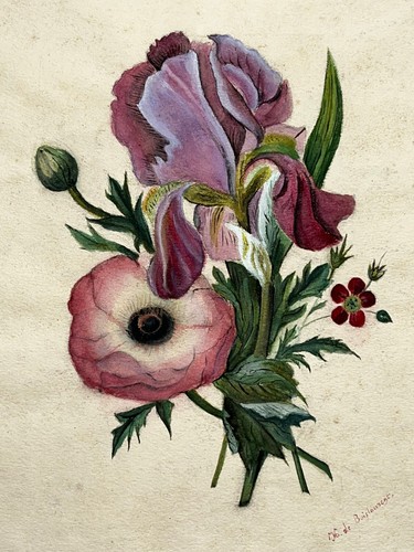 Anemones fleurs aquarelle - fleurs,