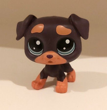 Littlest Pet Shop Rottweiler