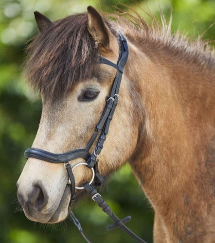 Premium bitless bridle for - premium,