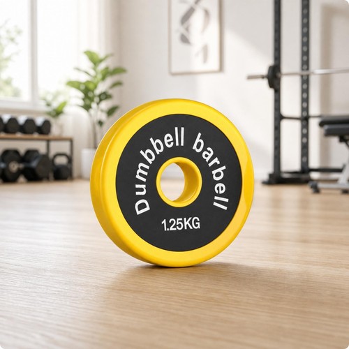 Disque musculation fonte - disque, en