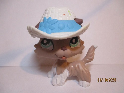 Petshop chien colley 1330 - petshop,