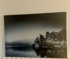 Tableau IKEA PJATTERYD- Lac