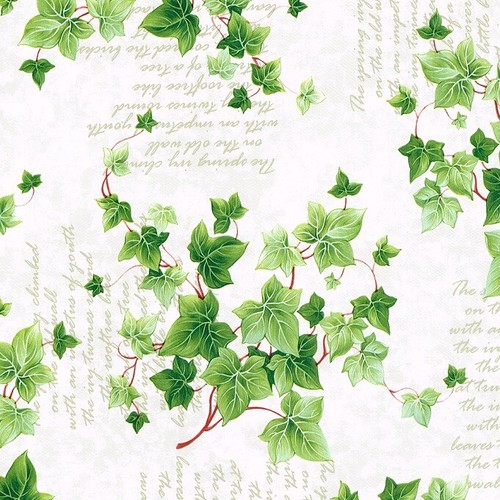 Toile cirée nappe table - cirée,