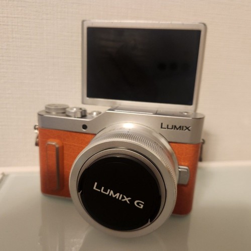 Panasonic gf10 lumix - panasonic,