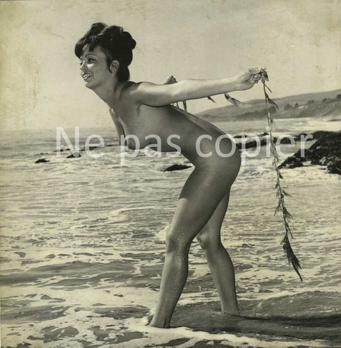 Feminin edmund leja lilo - edmund, /