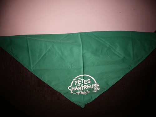 Bandana chartreuse goodies - chartreuse,