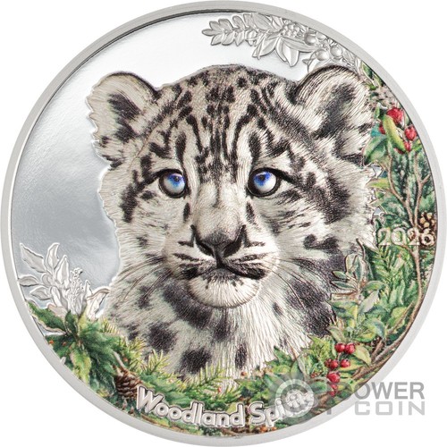 Snow leopard woodland - snow,