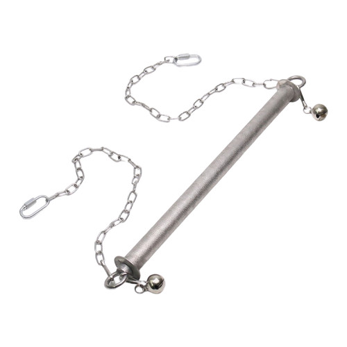 Jouet cage perroquet