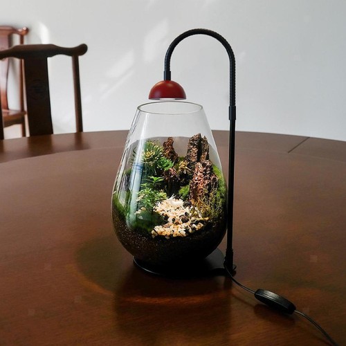 Lampe pour plantes