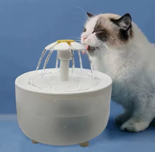 Fontaine eau pour chats - eau,