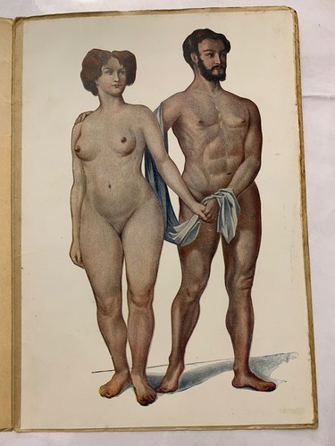 Homme femme - et,