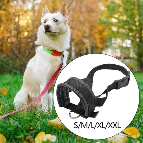 Muselière pour chien