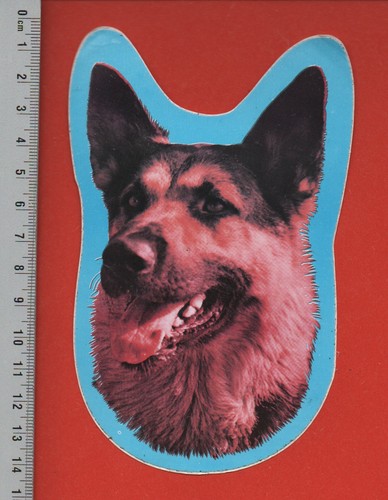 German shepherd dog - shepherd,