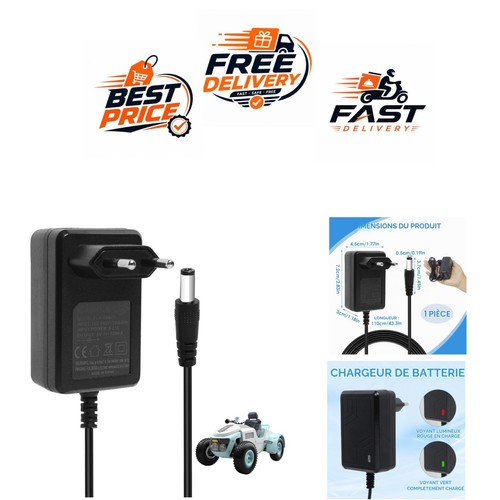 Chargeur 800ma pour - 6v,