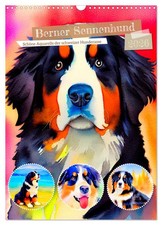 Bouvier bernois 2026. belles aquarelles de la race canine suisse (Calendrier mur